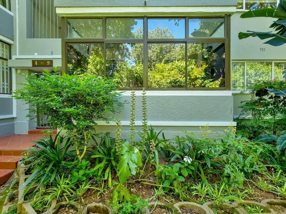Spacious Two Bedroom In Newlands Apartment Kapstadt